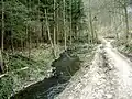 Údolí Říčky
