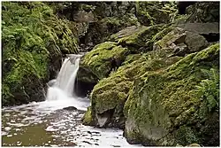 Údolí Doubravy