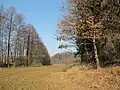 Údolí Lipovského potoka