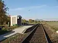 Úpohlavy