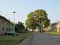 Náves