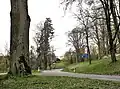 Rozcestí u hřbitova, v pozadí sídliště