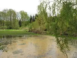 Prostřední ze soustavy Částrovických rybníků