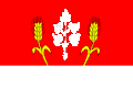Vlajka obce Čavisov
