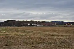 Čavyně