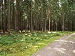 Čeřínek