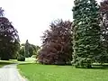 Zámecký park