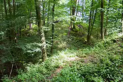 Čejchanův Hrádek 03.JPG