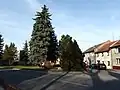 Náves
