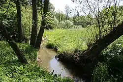Čeminský potok mezi Košeticemi a Rakovnou