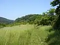 Vrchol kopce