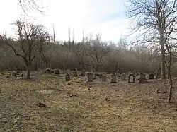 Celkový pohled na hřbitov