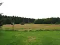 cedule