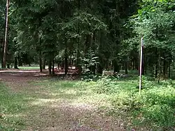 Pohled od triangulačního bodu vyznačujícího jednu z vrcholových kót k pomníku partyzána Bogdanova a k paloučku u vrcholového rozcestí