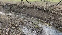 Červený potok u Kozojed