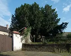 červenec 2010