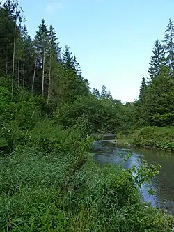 Čingovské hradisko