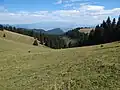 Čutkovské údolí z 19. srpna 2019