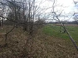 Pohled na louku od silnice