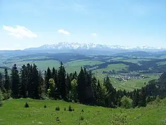 Svah Suszyna a pohled na Tatry