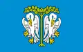 Łowicz – vlajka