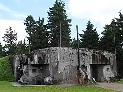 Říčky v Orlických horách, R-S 87 (rok 2010; 03).jpg