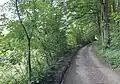 Západní cesta vedoucí od Brandýsa