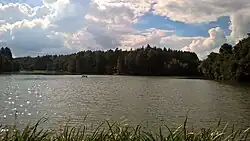Ředkovský rybník