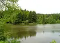 Rybník na severu vesnice
