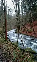 Metuje – peřeje