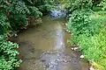 Odrava ve Starém Hrozňatově (Česko)