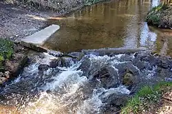 Plesná u Lomničky