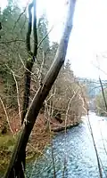 Metuje