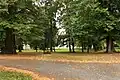 Zámecký park