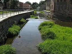 Stěnava v Broumově