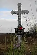 Kříž rodiny Srbovy