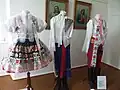 Expozice muzea