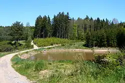 Tvrziště v lese nad rybníkem