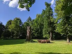 Šenov (u Ostravy) - park někdejšího zámku (stav 2021) (3).jpg