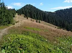 Šiprúň