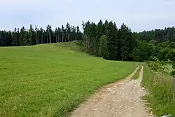 Celkový pohled na ostroh s pozůstatky hradu