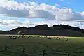 Pastviny mezi Zálužím a Štěkří