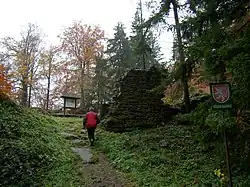 Štamberk – zřícenina hradu