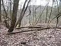 Na haldě u štoly Anna