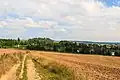 pohled na Švábský rybník