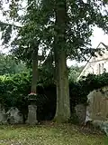 Kamenný kříž