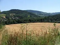 Żarnówka (Pogórze Wiśnickie)