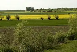 Okolí Steblewa