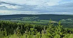 Lesní masiv na jihozápadním hřbetu Borovského lesa, georeliéfem ploché vrchoviny v rozsahu 470 až 784 m n. m. tvořící geomorfologický okrsek