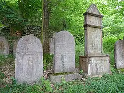 ŽH Běštín 16.jpg